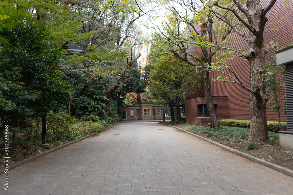 秋の公園 秋の公園