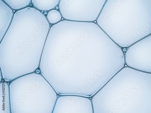 Macro close up of soap bubbles look like scientific image of cell and cell membrane