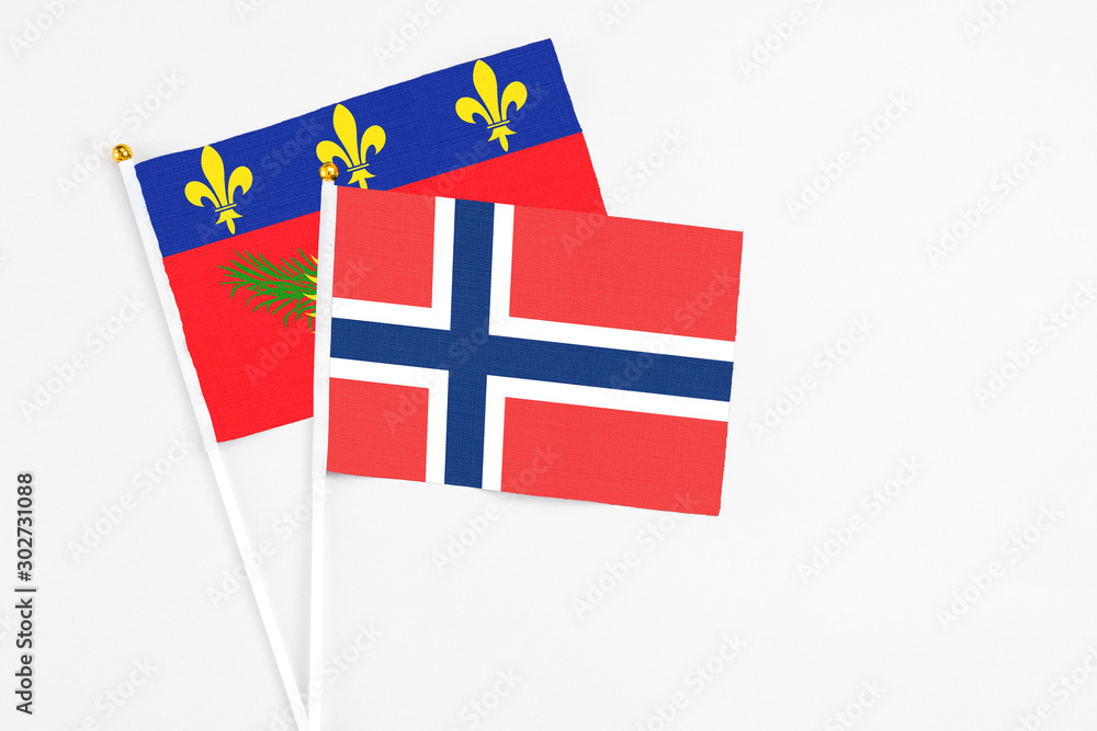 Norway and Guadeloupe stick flags on white background. High quality fabric, miniature national flag. Peaceful global concept.White floor for copy space.