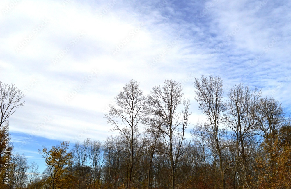 autumn landscape in the village autumn landscape in the village