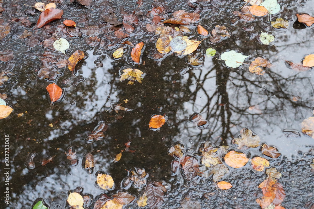 Obraz premium Spiegelungen