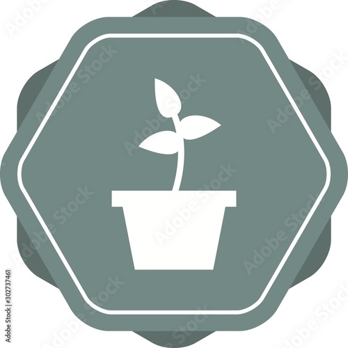 Beautiful Planting Glyph Vector Icon