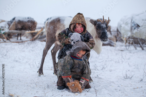 Yamal peninsula, Siberia. A herd of reindeer in winter, Reindeers migrate for a best grazing in the tundra nearby of polar circle in a cold winter day. reindeer herder