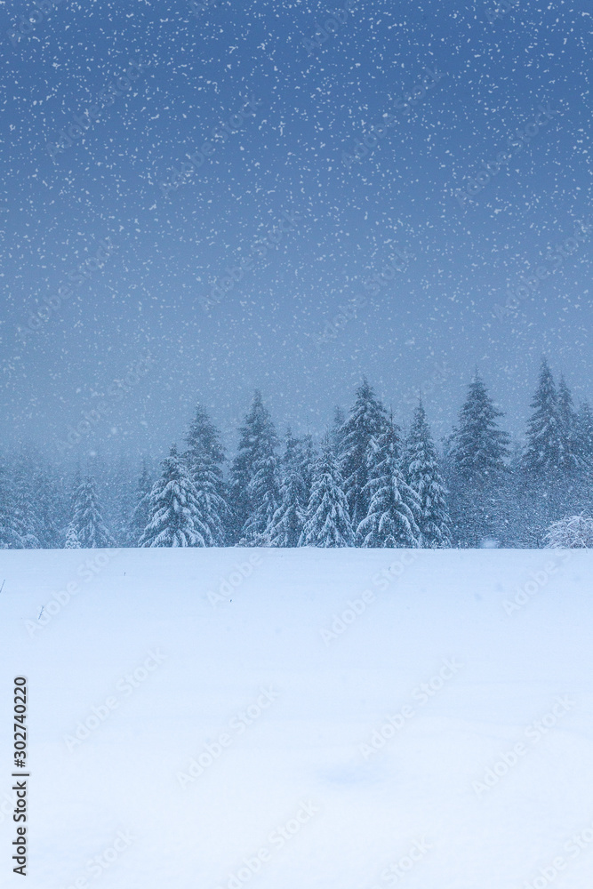 Fototapeta Winterwald im tiefen Schnee am Rennsteig im Thüringer Wald