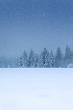 Winterwald im tiefen Schnee am Rennsteig im Thüringer Wald