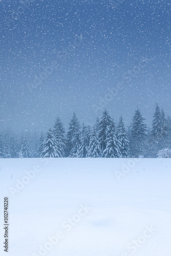 Winterwald im tiefen Schnee am Rennsteig im Thüringer Wald © USeePhoto