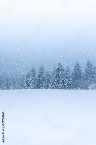 Winterwald im tiefen Schnee am Rennsteig im Thüringer Wald