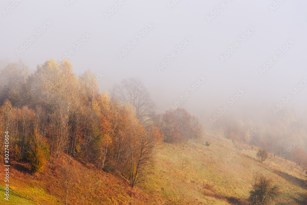 Trees on the mountain hills through the morning fog at beautiful autumn foggy sunrise.