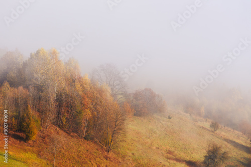 Trees on the mountain hills through the morning fog at beautiful autumn foggy sunrise.