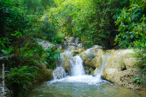 A small waterfall in the jungle of Rishikesh