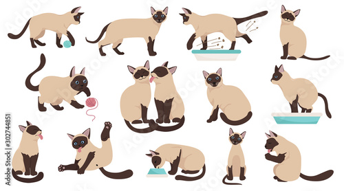 Fotografia Cartoon cat characters collection