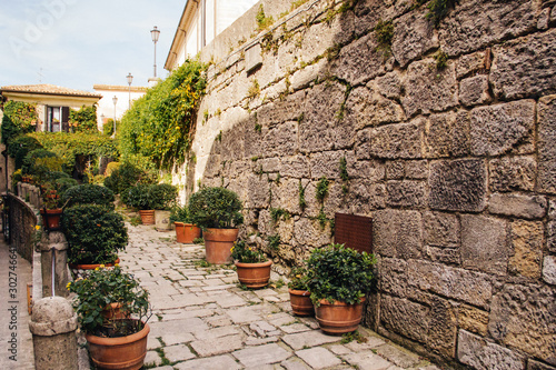 Fototapeta Naklejka Na Ścianę i Meble -  old cobbled lane with flowers in Italy