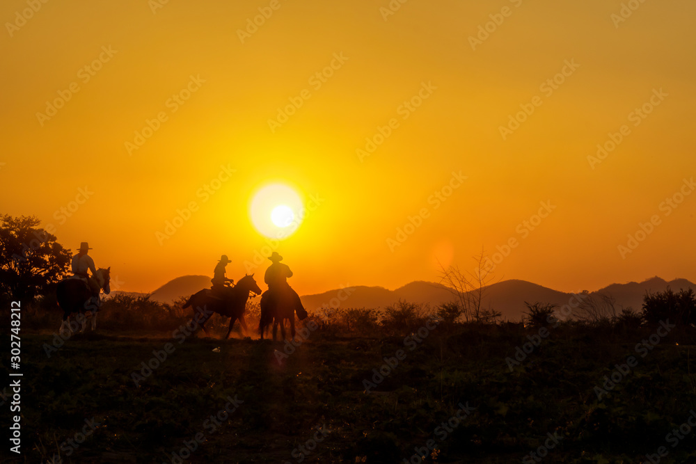 silhouette of cowboys group riding horseback on dusty field at sunset