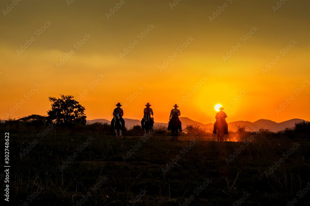 silhouette of cowboys group riding horseback in dusty road at sunset sky for backgroumd