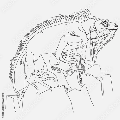 Iguana lizard hand drawn illustration