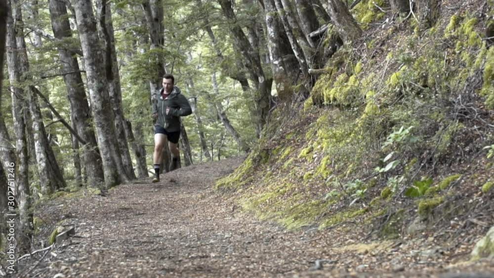 Male trail runner jogging National Park New Zealand Male trail runner jogging National Park New Zealand