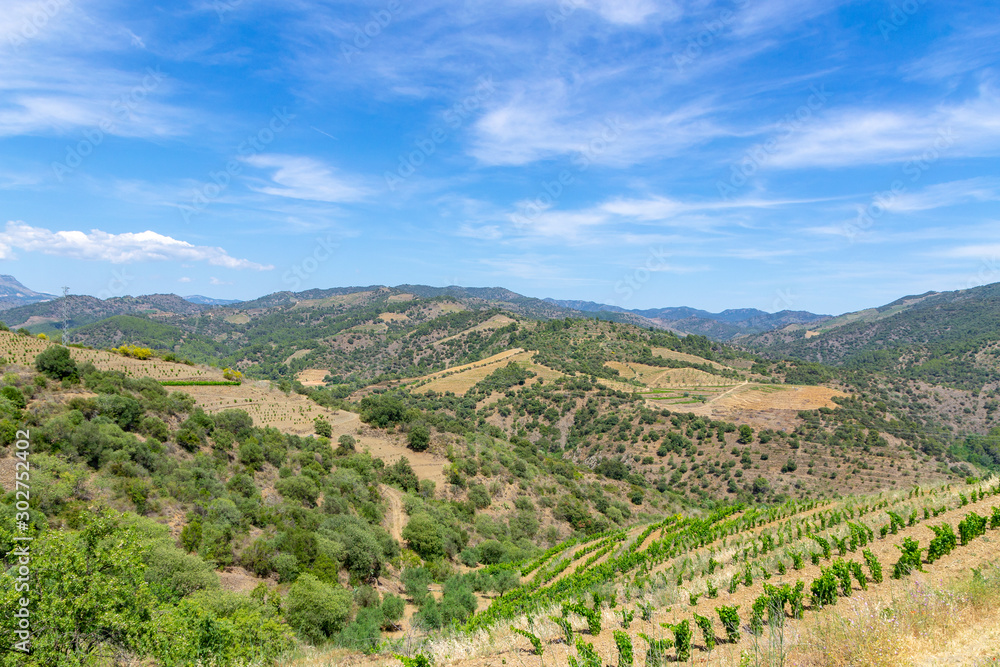 The view of vineyards of Priorat, Catalonia, Spain