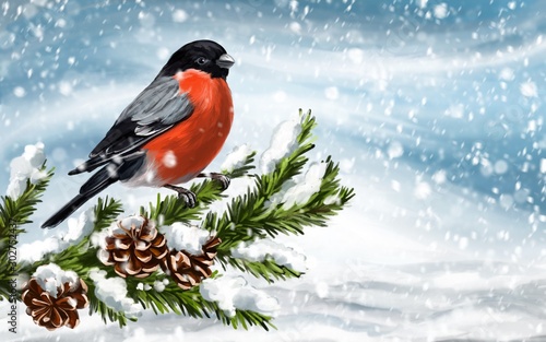 Canvas Print bird bullfinch on a branch of spruce on a winter background, art illustration pa