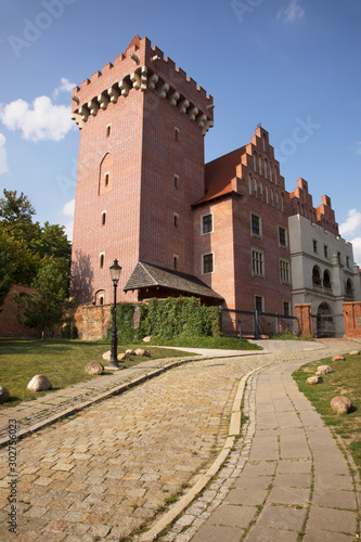 Royal castle in Poznan. Poland