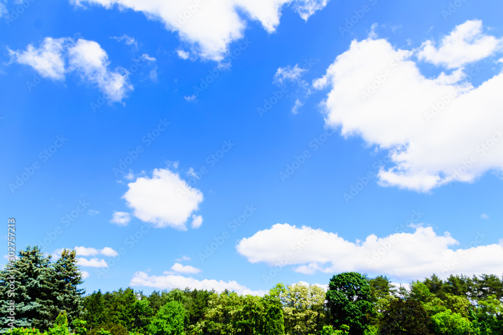 white fluffy clouds on a background of blue sky white fluffy clouds on a background of blue sky