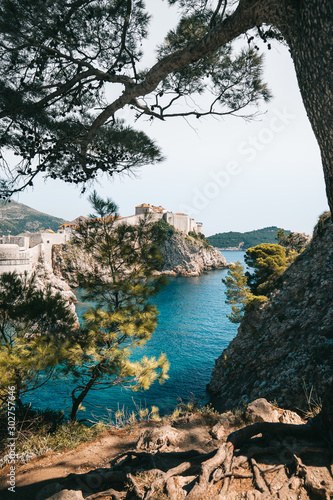 Dubrovnik water and trees