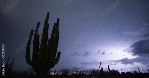 Flashing Desert