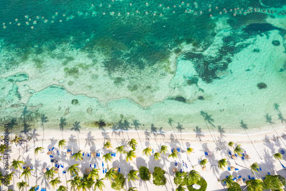 Palm-fringed beach washed by Caribbean Sea from above by drone, St. James Bay, Antigua, Leeward Islands