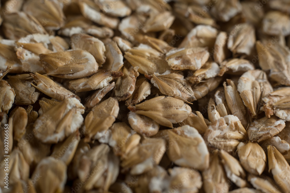 Chit barley flackes malt background. Сereals for the production of alcoholic beverages and animal feed. Macro, depth of field Chit barley flackes malt background. Сereals for the production of alcoholic beverages and animal feed. Macro, depth of field