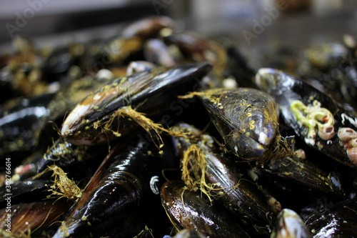 Close-up of fresh mussels at a fish market stall in the market