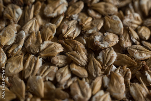 Chit barley flackes malt background. Сereals for the production of alcoholic beverages and animal feed. Macro, depth of field