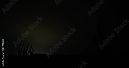 Desert Storm