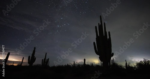 Saguaro storm