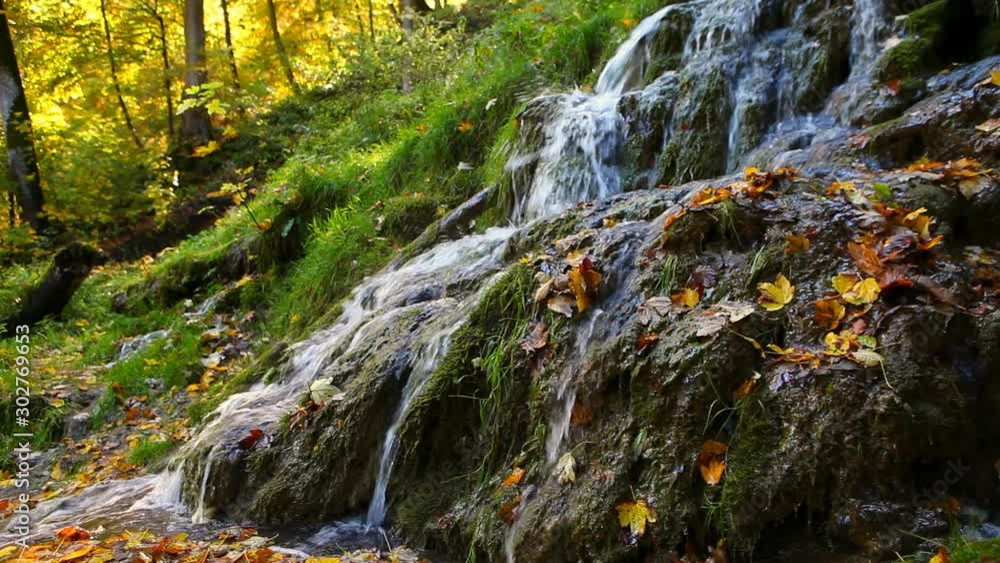 tranquil river stream in autumn forest schwäbische alb urach germany tranquil river stream in autumn forest schwäbische alb urach germany