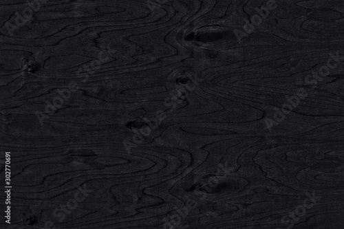 Black background. The texture of natural birch veneer with knots. The surface of birch plywood. Black and white photo.