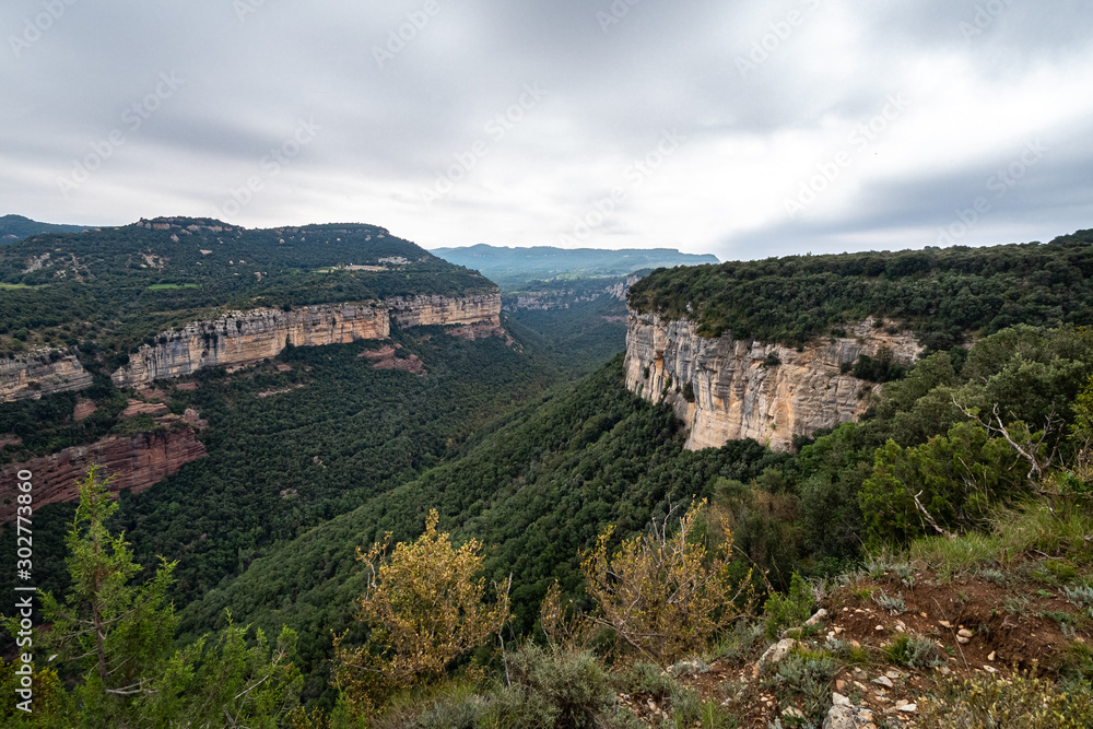 Canyon with green forest on a cloudy day, Tavertet, Barcelona province, Catalonia.
