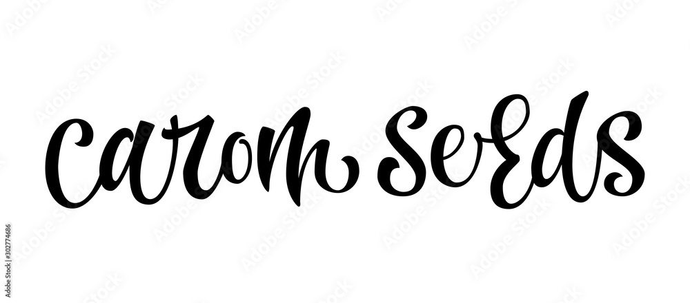 Hand drawn spice label - carom seeds (ajwain). Vector lettering design element. Isolated calligraphy script style word for labels, shop design, cafe decore etc Hand drawn spice label - carom seeds (ajwain). Vector lettering design element. Isolated calligraphy script style word for labels, shop design, cafe decore etc