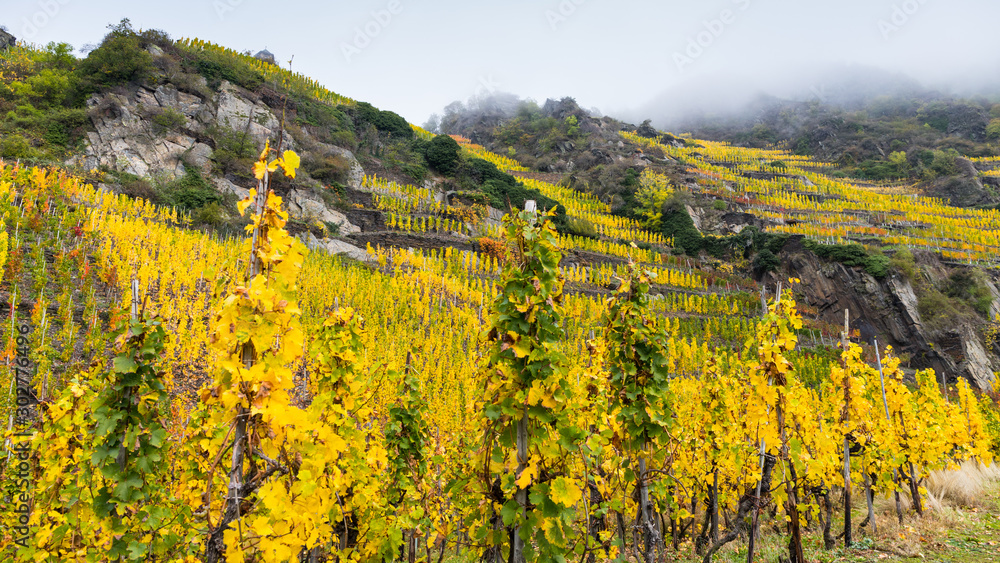 Herbstliche Weinbergsterrassen im Ahrtal Herbstliche Weinbergsterrassen im Ahrtal