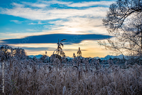 Morgendämmerung photo