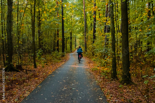 Bike path through an autumnal forest, bike path with cyclists, autumn forest and a bike path