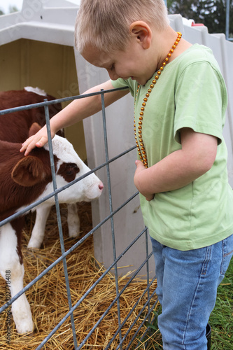 Happy Young Boy Smiling While Petting a Brown and White Calf