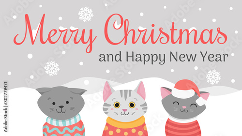  Collection of Christmas cats, Merry Meow Christmas illustrations of cute cats with accessories like a knited hats, sweaters and scarf. Cute vector illustration background greeting card. 