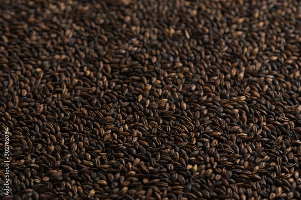 Brown wheat background. Сereals for the production of alcoholic beverages and animal feed. Flat lay Brown wheat background. Сereals for the production of alcoholic beverages and animal feed. Flat lay