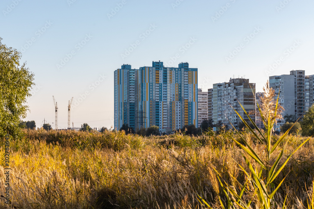 Modern city buildings behind a reed field on a lake. Urban industry and nature landscape Modern city buildings behind a reed field on a lake. Urban industry and nature landscape