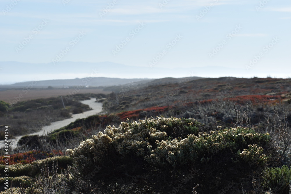 The view of the footpath behind the dunes at Moss Landing beach, California