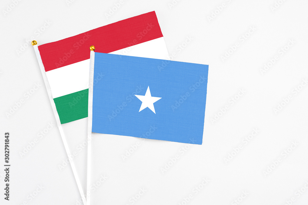 Somalia and Hungary stick flags on white background. High quality fabric, miniature national flag. Peaceful global concept.White floor for copy space.