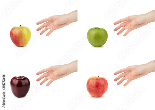 Set of female hands take a green red burgundy apple isolated on a white background.