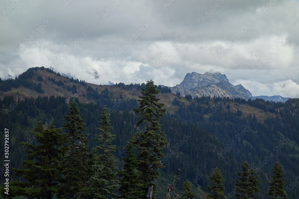 Landscapes of the Pacific Northwest
