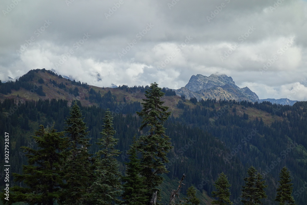 Obraz premium Landscapes of the Pacific Northwest