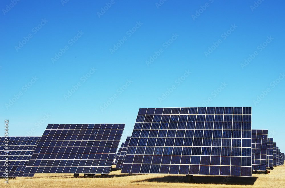 rows of photovoltaic panels and blue sky rows of photovoltaic panels and blue sky