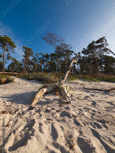 Weststrand Darß